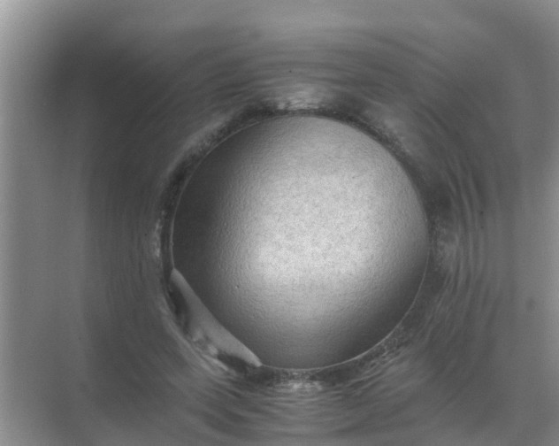 X0000071760543200607150005