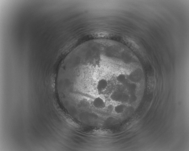 X0000071760545200607150005