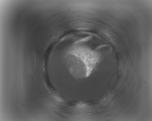 X0000071760547200607150005