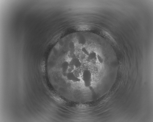 X0000071760549200607150005