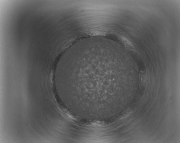 X0000071760550200607150005