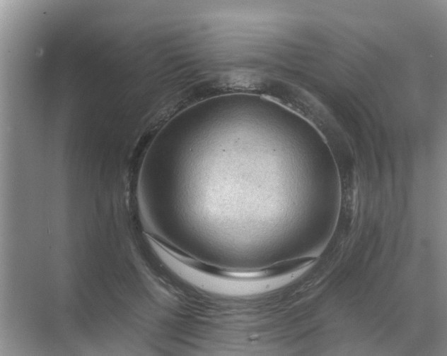 X0000071760552200607150005