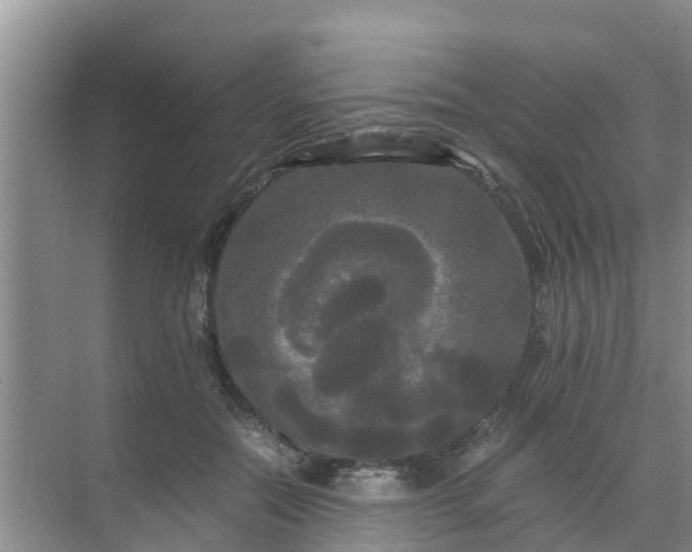 X0000071760554200607150005