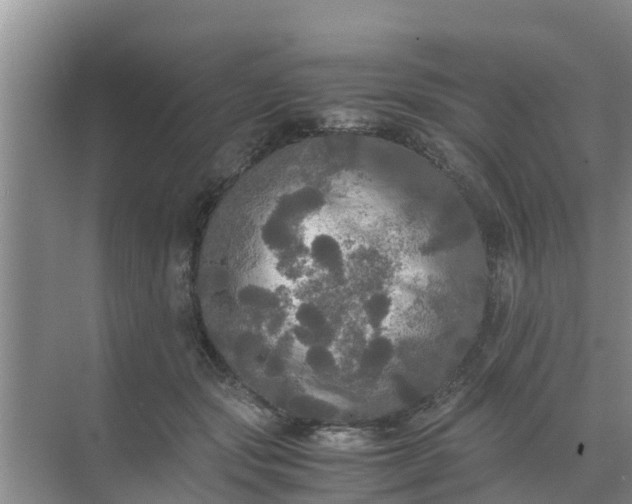 X0000071760557200607150005