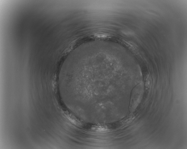 X0000071760559200607150005