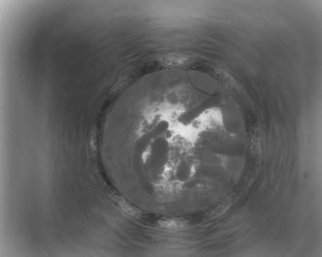 X0000071760561200607150005