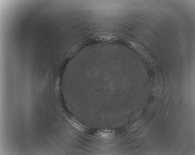 X0000071760563200607150005