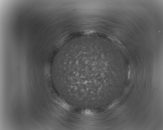 X0000071760565200607150005