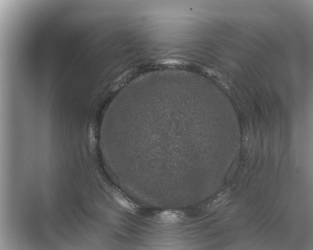 X0000071760566200607150005