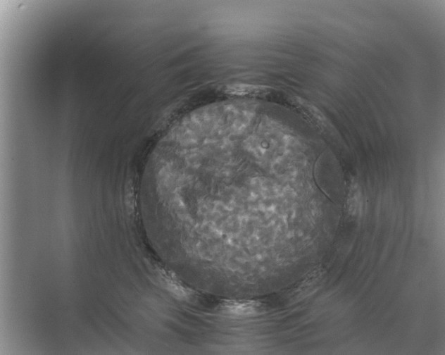 X0000071760569200607150005