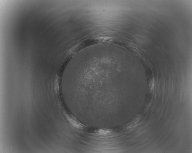 X0000071760570200607150005