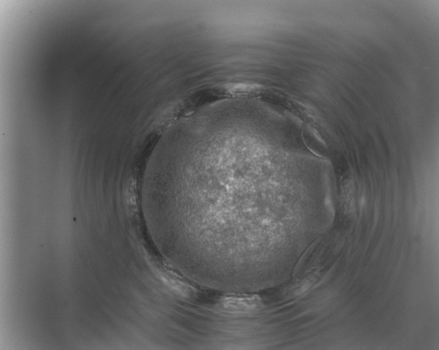 X0000071760571200607150005