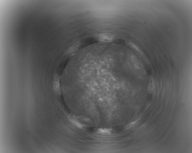 X0000071760573200607150005