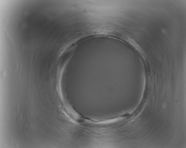 X0000071760577200607150005