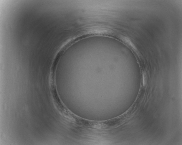 X0000071760579200607150005