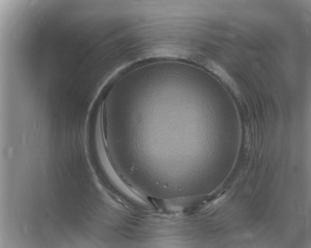 X0000071760580200607150005