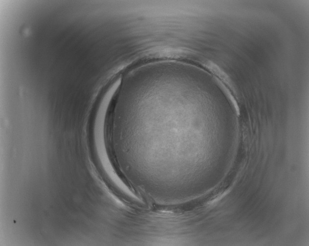 X0000071760581200607150004