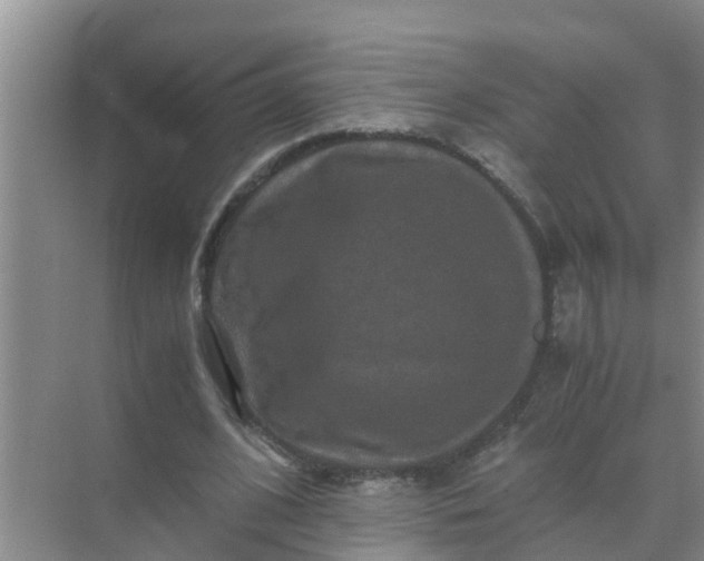 X0000071760584200607150004