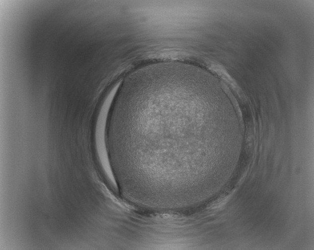 X0000071760585200607150004