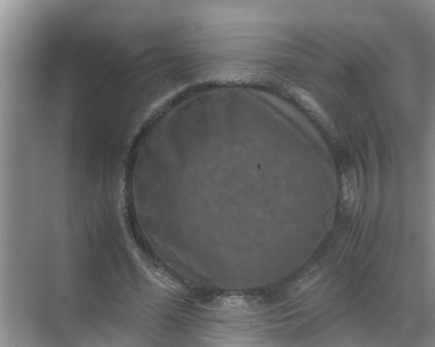 X0000071760588200607150004