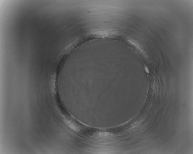 X0000071760590200607150004