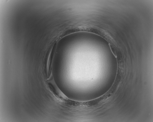 X0000071760593200607150004