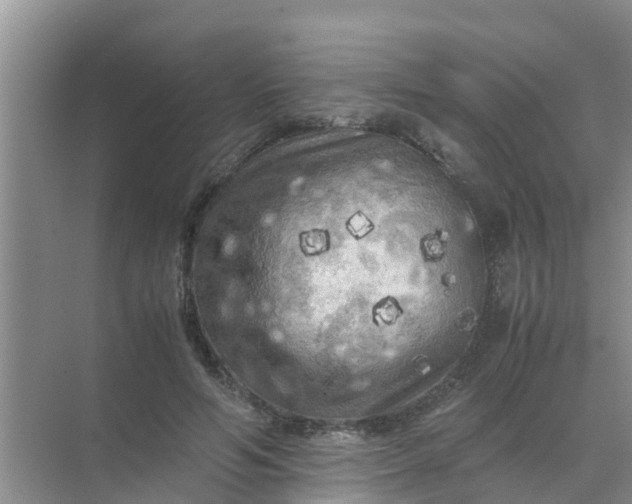 X0000071760594200607150004