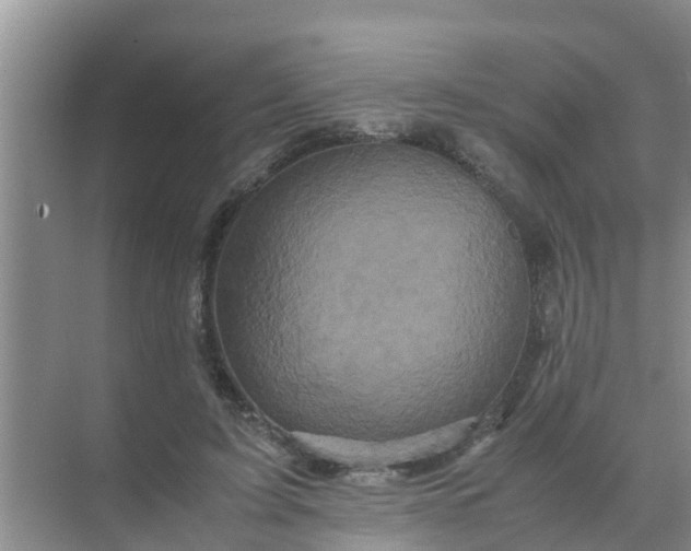 X0000071760595200607150004