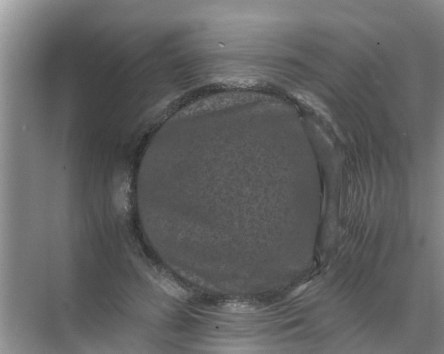 X0000071760596200607150004