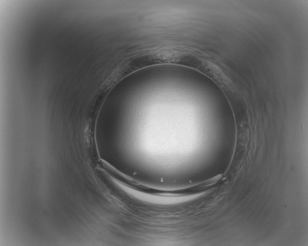 X0000071760597200607150004