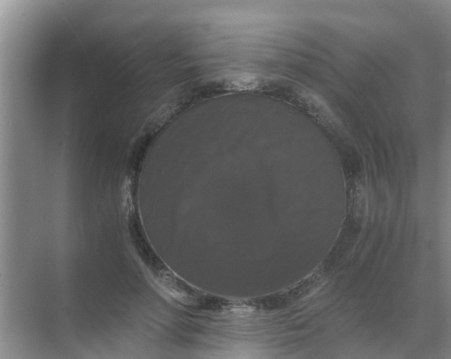 X0000071760598200607150004