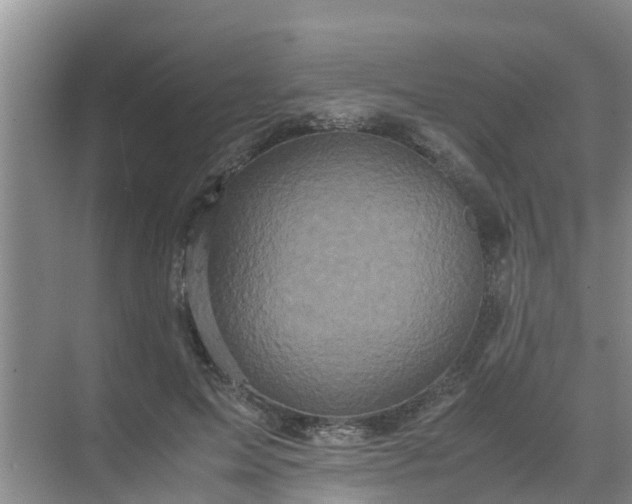 X0000071760599200607150004