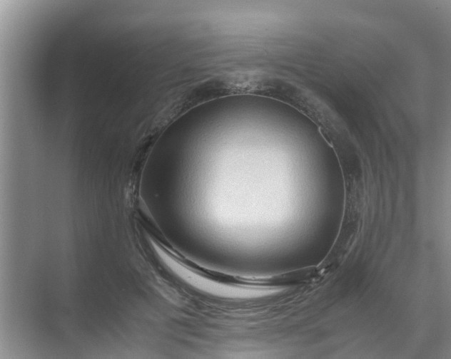 X0000071760601200607150004