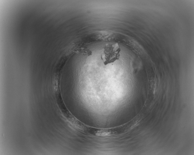 X0000071760602200607150004