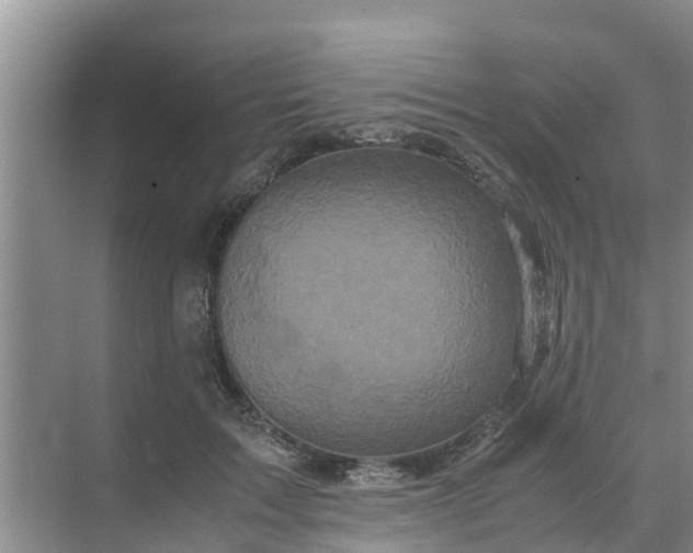 X0000071760603200607150004