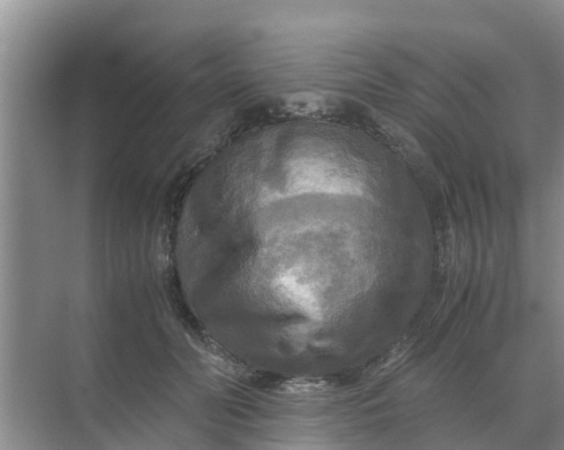 X0000071760606200607150004