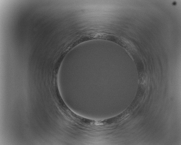 X0000071760607200607150004