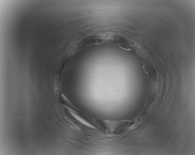 X0000071760609200607150004