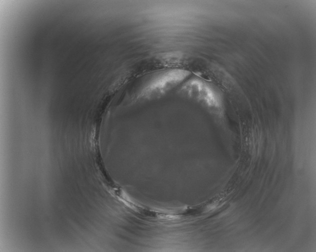 X0000071760610200607150004