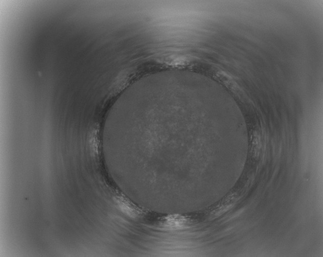 X0000071760612200607150004