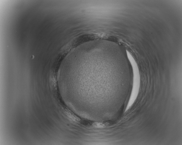 X0000071760613200607150004