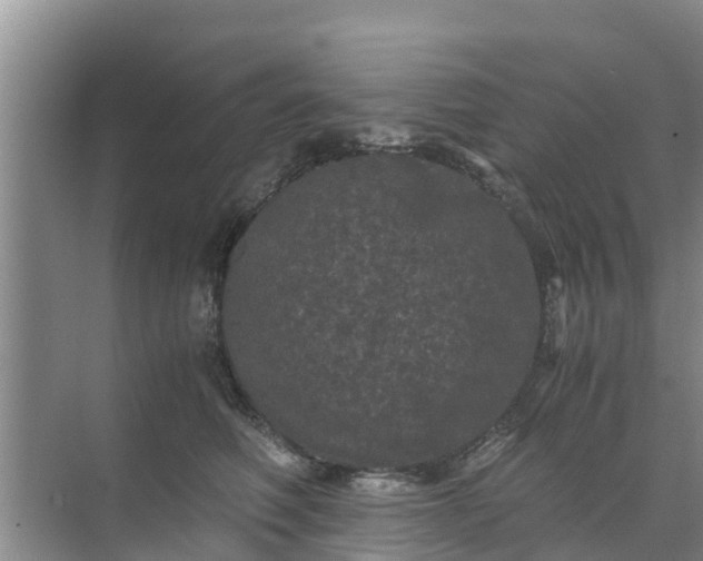 X0000071760614200607150004