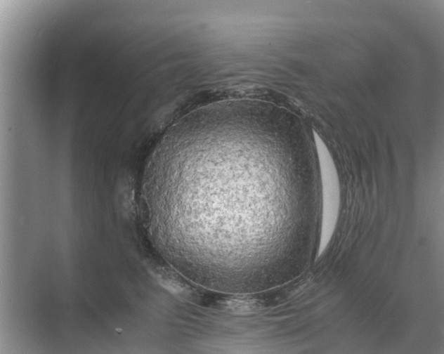 X0000071760615200607150004