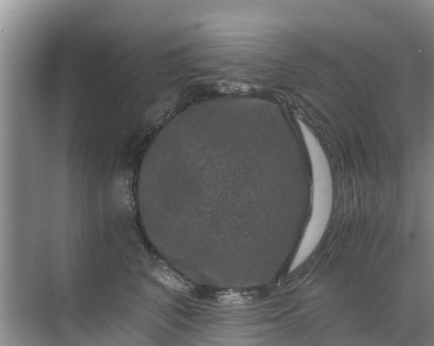 X0000071760616200607150004