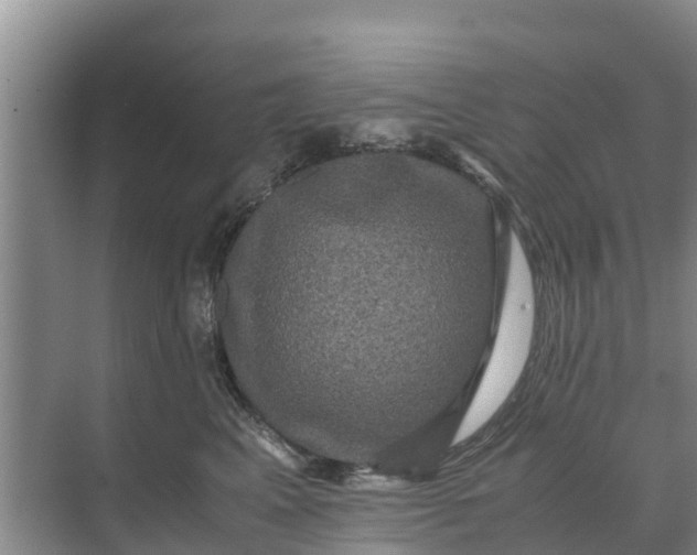 X0000071760617200607150004