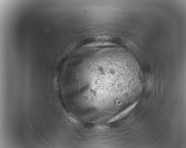 X0000071760619200607150004