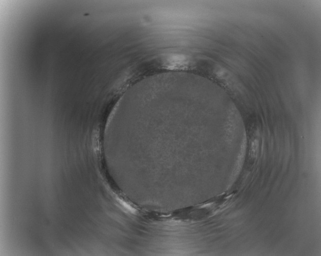 X0000071760620200607150004