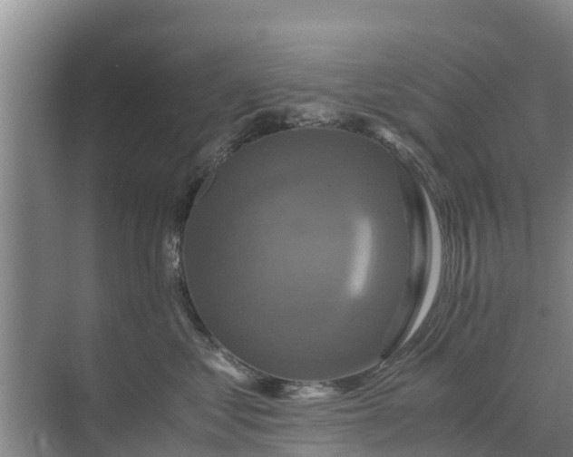 X0000071760621200607150004