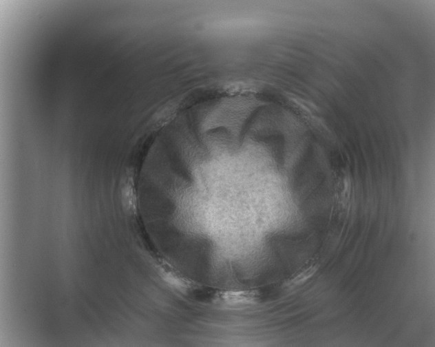 X0000071760622200607150004