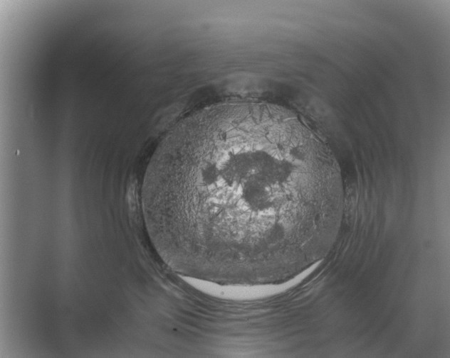 X0000071760623200607150004